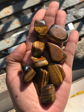Load image into Gallery viewer, Tumbled Tiger’s Eye